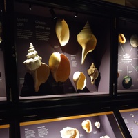 Zázraky evoluce v Národním muzeu - 2. a 4. oddělení ŠD