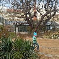 Botanická zahrada 1.třída🌷